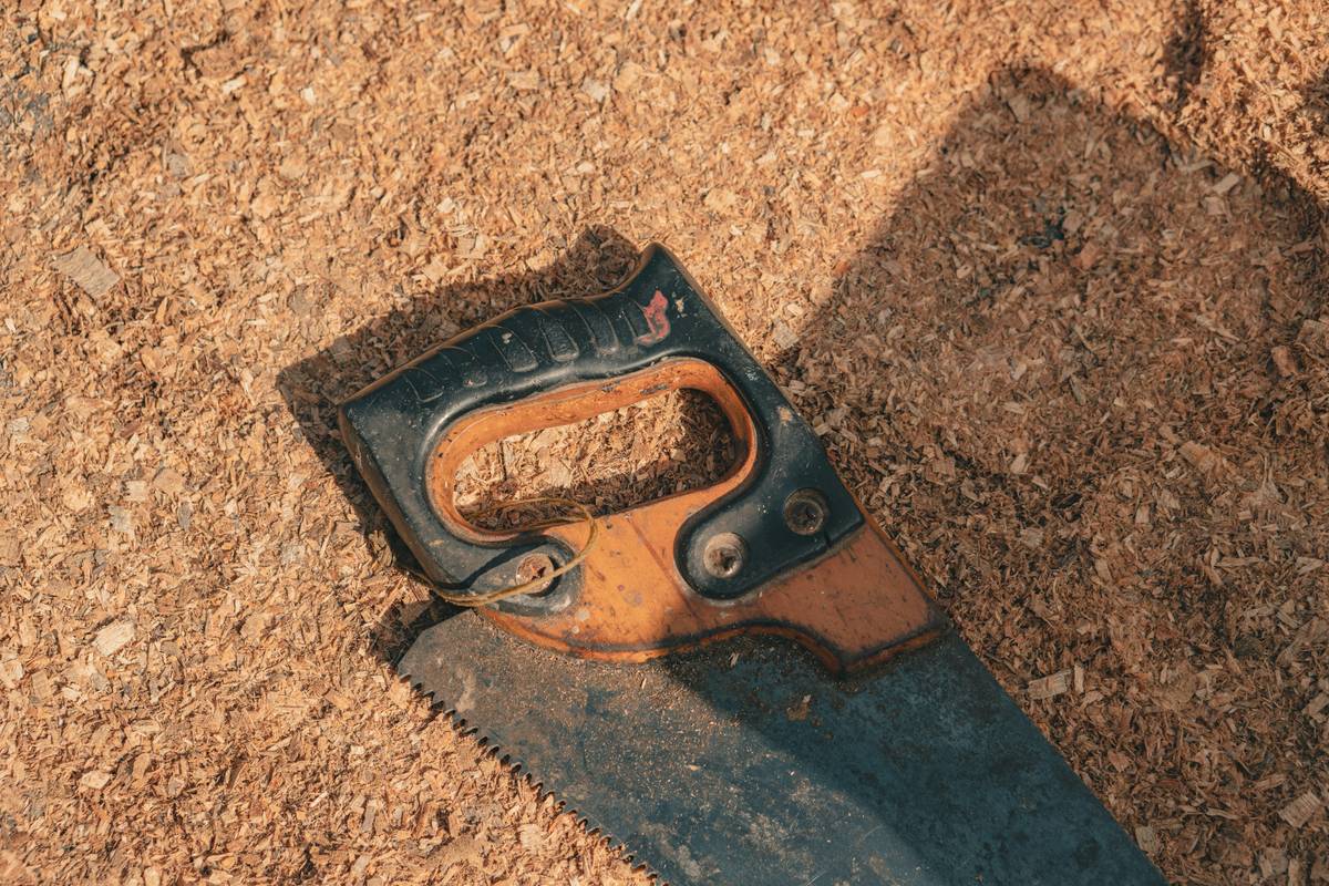 Why Your DIY Project Band Saw Tool Box Is Probably Failing (And How to Fix It)