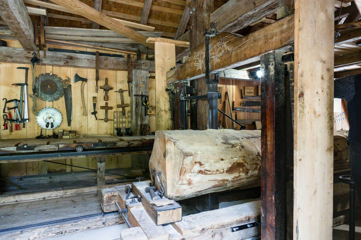 Why Your Workshop Needs a Sydney Tools Band Saw (And How to Not Ruin It in Week One)